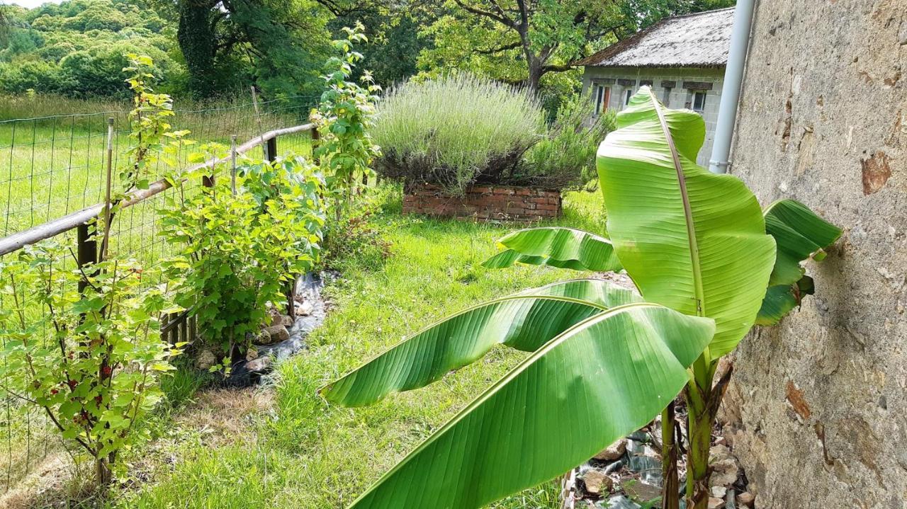 Appartement Charmant Orgnac-Sur-Vezere Avec Jardin Et Parking ภายนอก รูปภาพ